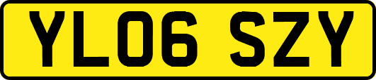YL06SZY