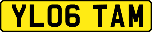 YL06TAM