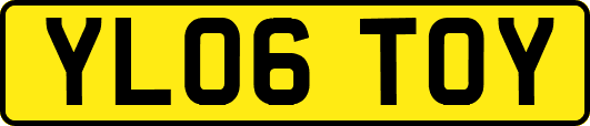 YL06TOY