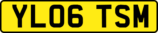 YL06TSM