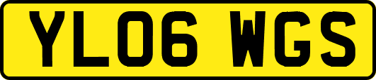 YL06WGS