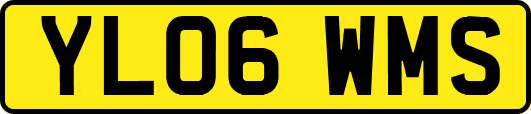 YL06WMS