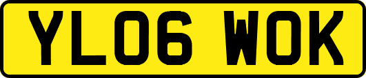 YL06WOK