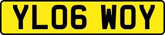 YL06WOY