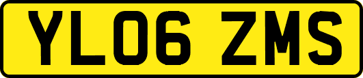 YL06ZMS