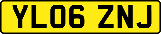 YL06ZNJ