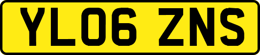 YL06ZNS