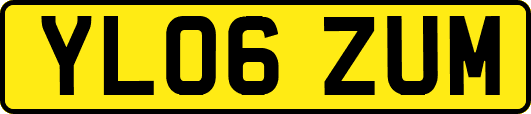 YL06ZUM