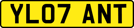 YL07ANT