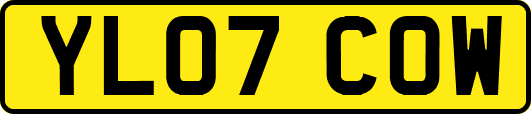 YL07COW