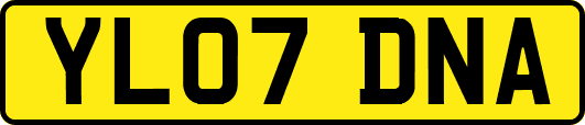 YL07DNA