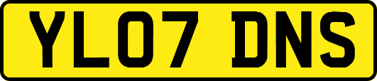 YL07DNS