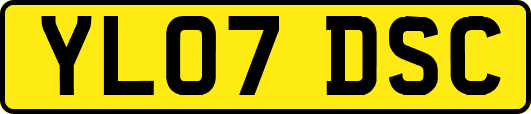 YL07DSC