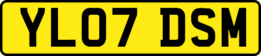 YL07DSM