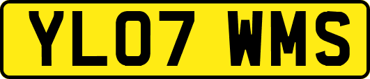 YL07WMS