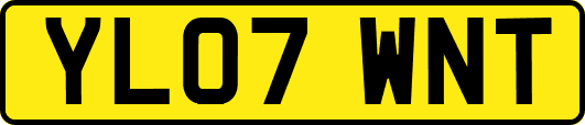 YL07WNT