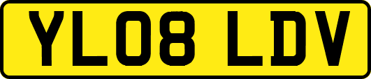 YL08LDV
