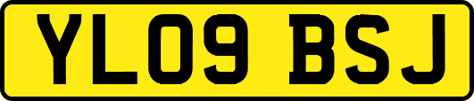 YL09BSJ