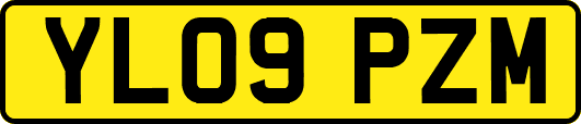 YL09PZM