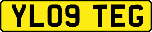 YL09TEG