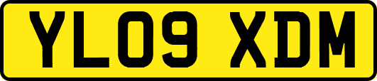 YL09XDM