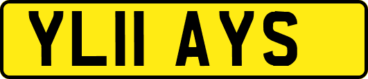 YL11AYS