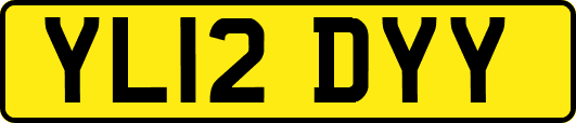 YL12DYY