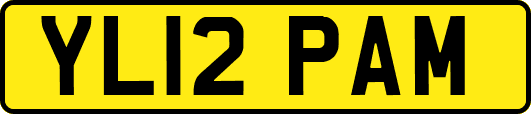 YL12PAM
