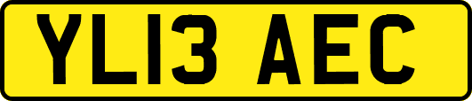 YL13AEC