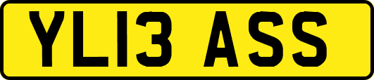 YL13ASS