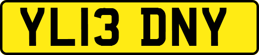 YL13DNY