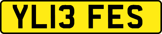 YL13FES