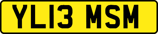 YL13MSM