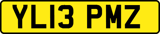 YL13PMZ