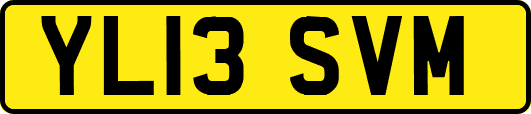 YL13SVM