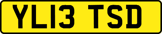 YL13TSD