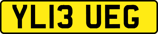 YL13UEG