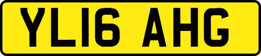 YL16AHG