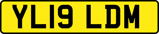 YL19LDM