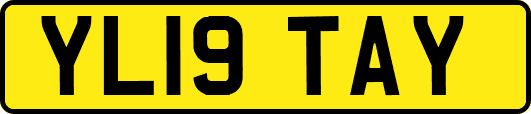 YL19TAY