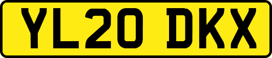 YL20DKX