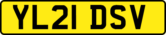 YL21DSV