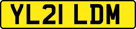 YL21LDM