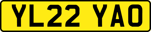 YL22YAO