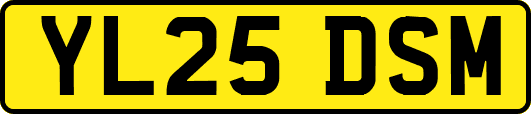 YL25DSM