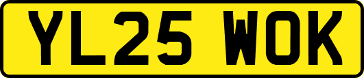 YL25WOK
