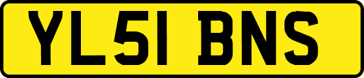 YL51BNS