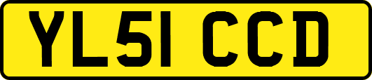 YL51CCD