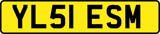 YL51ESM