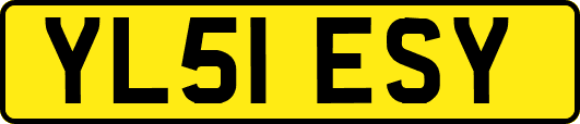 YL51ESY
